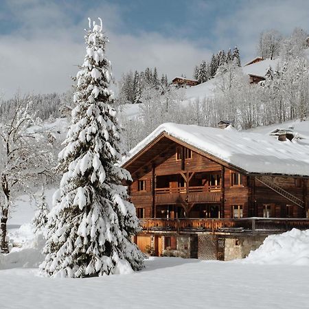 Chalet - La Ferme Du Var Hotel La Clusaz Buitenkant foto