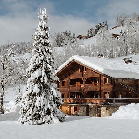 La Ferme Du Var La Clusaz Buitenkant foto