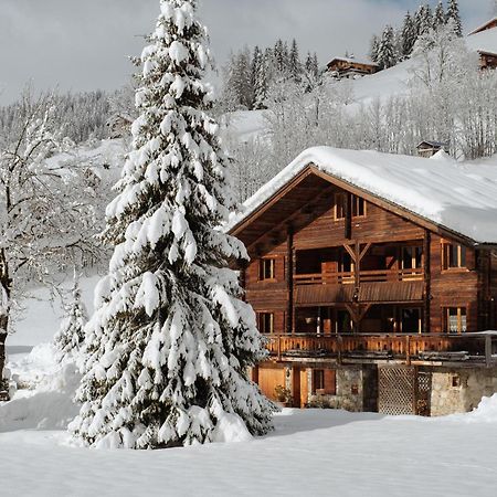 La Ferme Du Var La Clusaz Buitenkant foto